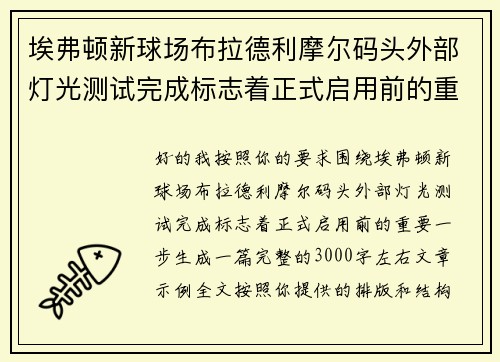 埃弗顿新球场布拉德利摩尔码头外部灯光测试完成标志着正式启用前的重要一步 埃弗顿新球场布拉德利摩尔码头外部灯光测试完成标志着正式启用前的重要一步